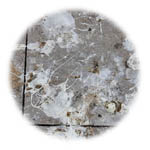 Environmental Cleaning Services in London - Bird Dropping Removal