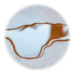Environmental Cleaning Services in London - Bodily Fluid Cleanup