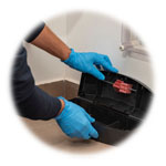 Environmental Cleaning Services in London - Pest Control