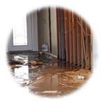 Environmental Cleaning Services in London - Water Removal and Dehumidifying